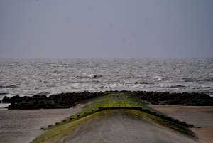 DSC03183