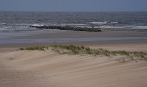 DSC03205