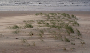 25 MEI 2010