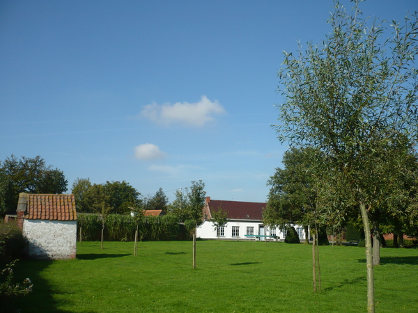 Boerderij Buyse met kapelletje - Meulebeke