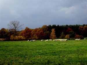 Mooi weer , daar hebben we van genoten .