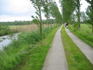 Sneukeltocht - onderweg