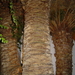 Ibiza 2010 011