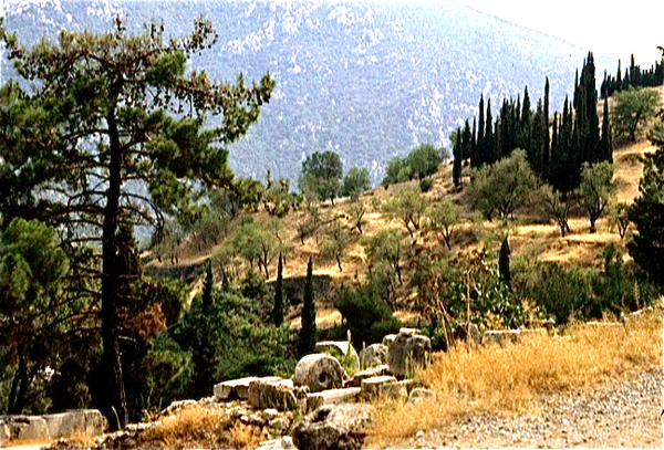 Delphi