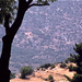 Delphi