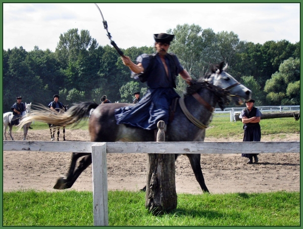 Puszta show Hongarije paarden