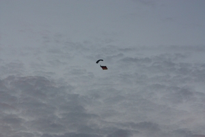 IMG_0809