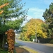 Onze straat in de herfst 2010