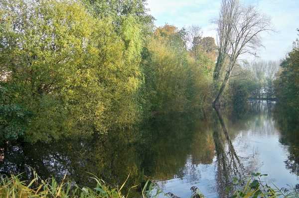 Herfst