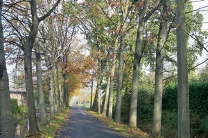 Herfstkleuren 1November 2010