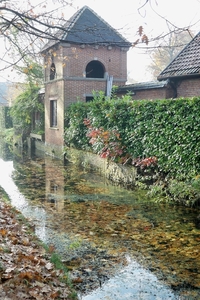 Herfstkleuren 1November 2010