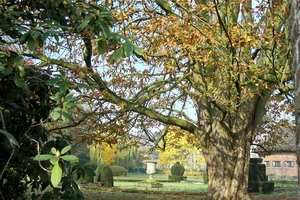 Herfstkleuren 1November 2010