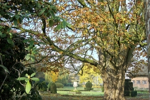 Herfstkleuren 1November 2010