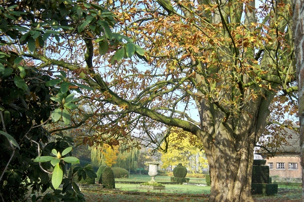 Herfst