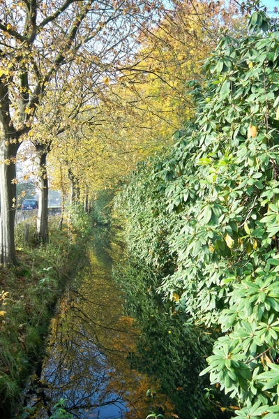 Herfstkleuren 1November 2010