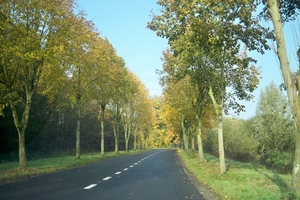 Herfstkleuren 1November 2010