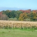 Herfstkleuren 1November 2010