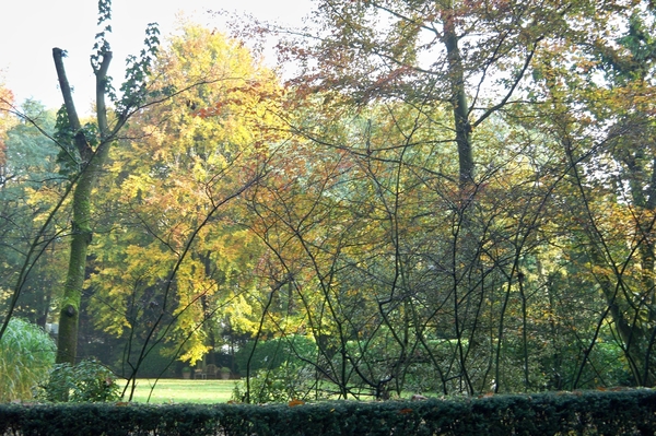 Herfst
