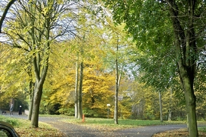 Herfstkleuren 1November 2010