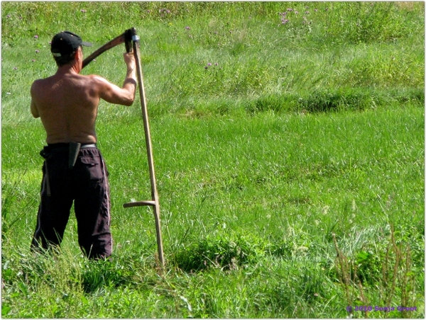 20100821 100103 Oekraïnereis Dolyna