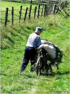 20100821 100427 Oekraïnereis Dolyna