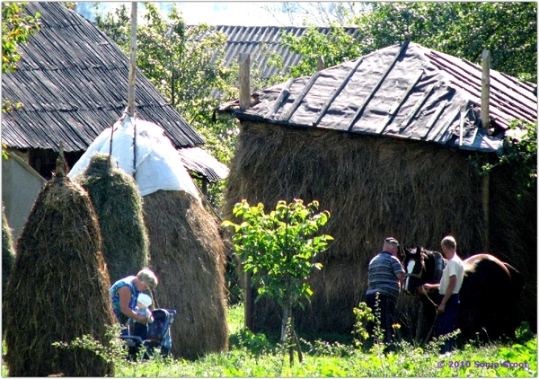 20100821 100512 Oekraïnereis Dolyna