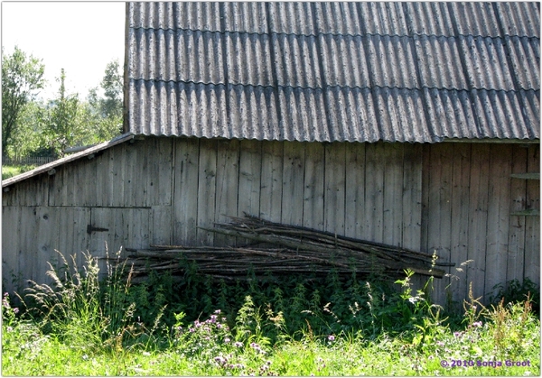 20100821 100628 Oekraïnereis Dolyna