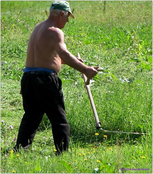 20100821 101125 Oekraïnereis Dolyna