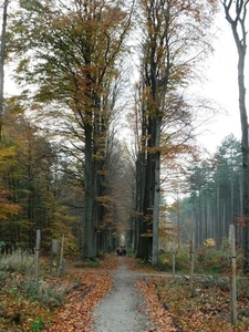 Zoet Water wandeling07112010_14 (Medium)