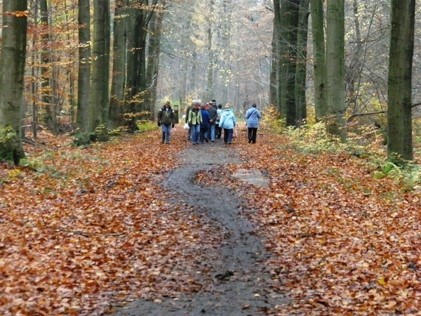 Zoet Water wandeling07112010_8 (Medium)