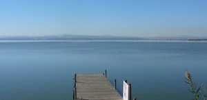 El Saler - albufera