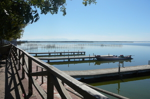 El Saler (2)