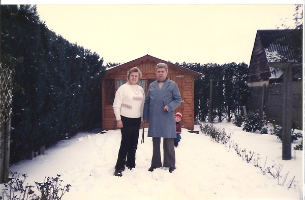 image-7