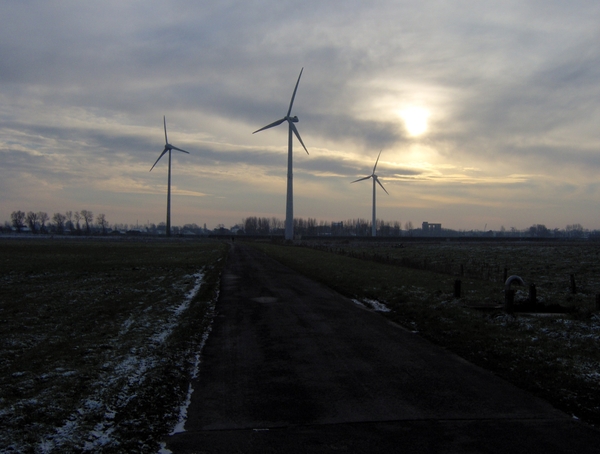 De windmolens van Lombardsijde