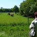 Afbeelding 004