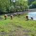 Afbeelding 006