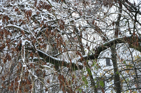 FRIVOLE SNEEUW EXTACE IN BRUGGE...!