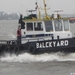 balckyard 1