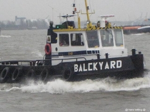balckyard 1