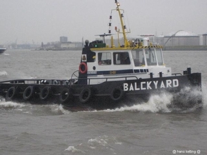 dalckyard 2