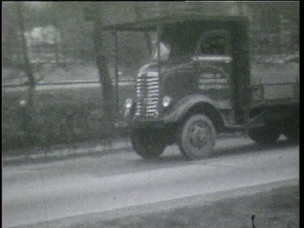 van 't kruis transport