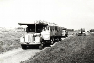 van 't kruis transport