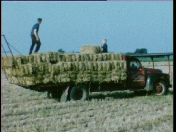 van t kruis transport