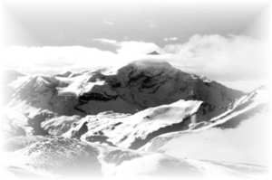 Afbeelding1