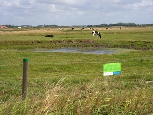 20090926 blankenbergse vaart