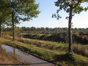 20091009 tussen de lijntjes1