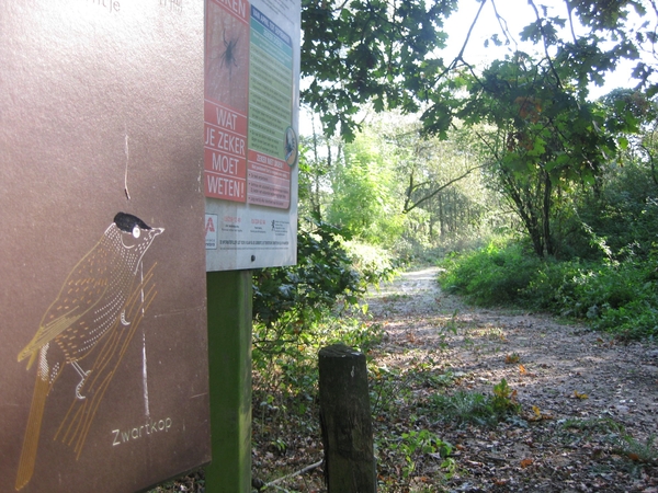 20091009 Vogeltjes