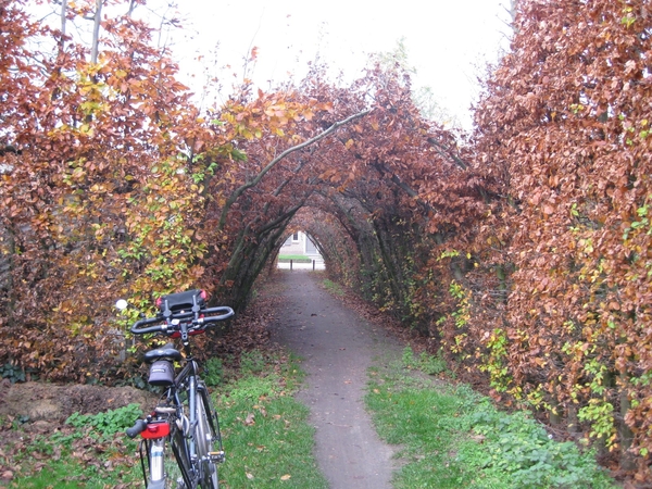 20091120 kan Peetersgang