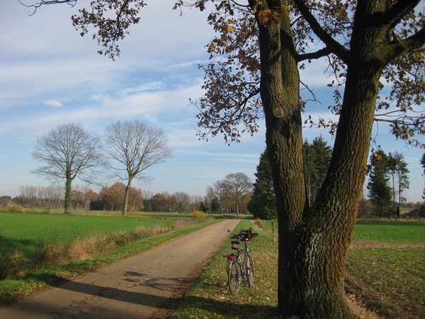 20091120 osseneersel spliteik