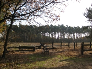 20091120 poeyelheide jump
